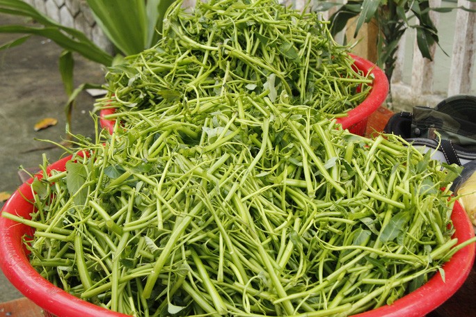 Chùm ảnh: Người dân tặng vịt, nấu ăn miễn phí cho đội cứu nạn ở Rào Trăng 3 - 6 Chùm ảnh: Người dân tặng vịt, nấu ăn miễn phí cho đội cứu nạn ở Rào Trăng 3 - 6