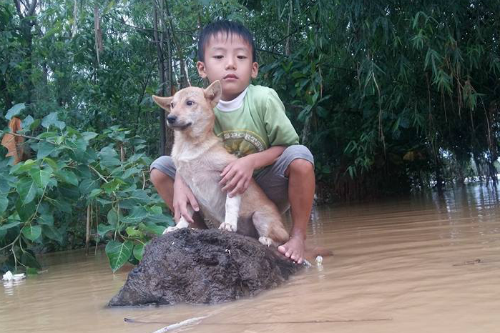 Rơi nước mắt hình ảnh chó mẹ tha con giữa dòng lũ, hàng loạt động vật rưng rưng như kêu cứu, dân mạng xót xa: 'Người cứu còn không xuể, biết làm sao đây?' - 8 Rơi nước mắt hình ảnh chó mẹ tha con giữa dòng lũ, hàng loạt động vật rưng rưng như kêu cứu, dân mạng xót xa: 'Người cứu còn không xuể, biết làm sao đây?' - 8