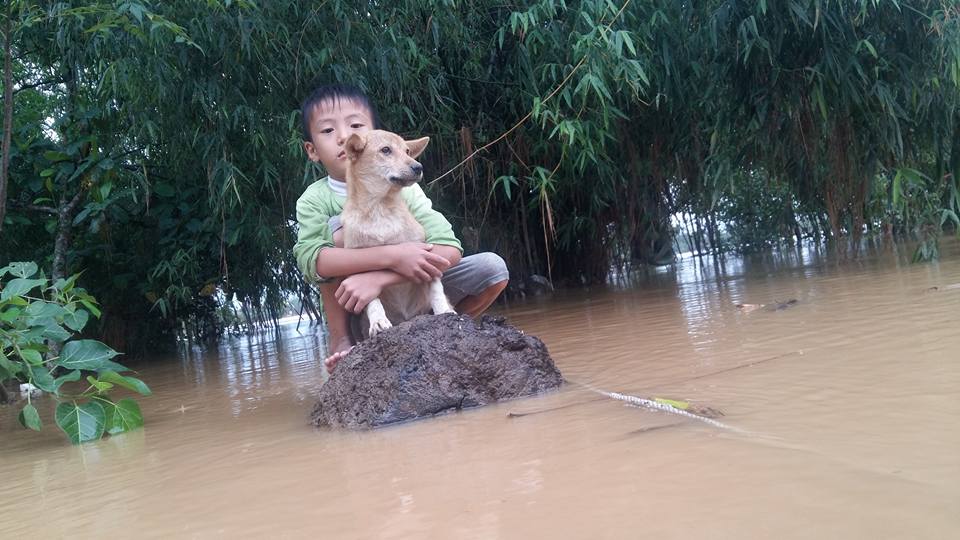 Rơi nước mắt hình ảnh chó mẹ tha con giữa dòng lũ, hàng loạt động vật rưng rưng như kêu cứu, dân mạng xót xa: 'Người cứu còn không xuể, biết làm sao đây?' - 7 Rơi nước mắt hình ảnh chó mẹ tha con giữa dòng lũ, hàng loạt động vật rưng rưng như kêu cứu, dân mạng xót xa: 'Người cứu còn không xuể, biết làm sao đây?' - 7