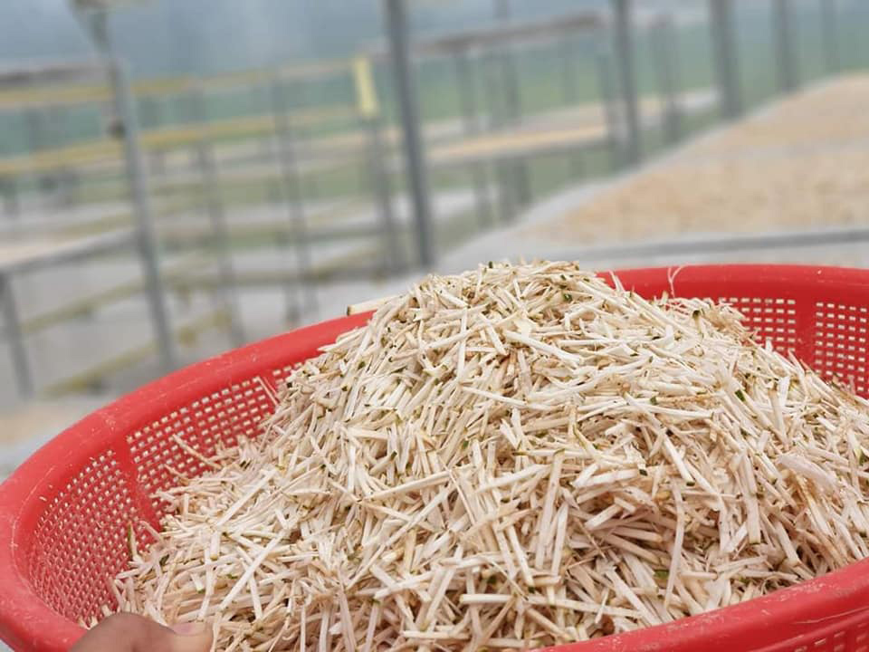 Đặc sản lạ Sóc Trăng: Loại trà không làm từ cây chè, giá 1 triệu/kg - 2 Đặc sản lạ Sóc Trăng: Loại trà không làm từ cây chè, giá 1 triệu/kg - 2