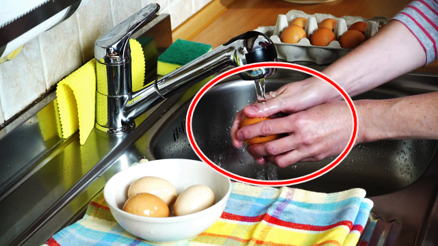 Đây là thói quen sử dụng tủ lạnh nguy hiểm mà rất nhiều người Việt đang phạm phải, không sớm thay đổi bệnh tật sẽ tìm đến gia đình bạn - 3 Đây là thói quen sử dụng tủ lạnh nguy hiểm mà rất nhiều người Việt đang phạm phải, không sớm thay đổi bệnh tật sẽ tìm đến gia đình bạn - 3