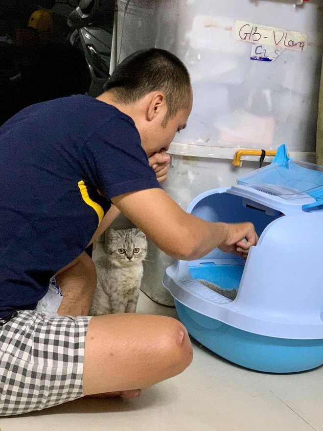 Thấy chồng tự nhiên chăm chỉ đột xuất đi dọn chất thải cho mèo, vợ cười bò khi biết lý do thực sự - 2 Thấy chồng tự nhiên chăm chỉ đột xuất đi dọn chất thải cho mèo, vợ cười bò khi biết lý do thực sự - 2