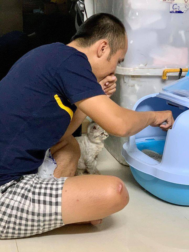 Thấy chồng tự nhiên chăm chỉ đột xuất đi dọn chất thải cho mèo, vợ cười bò khi biết lý do thực sự - 1 Thấy chồng tự nhiên chăm chỉ đột xuất đi dọn chất thải cho mèo, vợ cười bò khi biết lý do thực sự - 1
