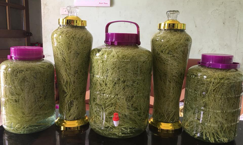 Đòng đòng lúa nếp đắt giá, hàng lạ hút quý ông làm quà hưởng Tết - 5 Đòng đòng lúa nếp đắt giá, hàng lạ hút quý ông làm quà hưởng Tết - 5