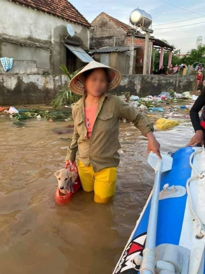 Người phụ nữ lội trong nước lũ không quên xách theo chú chó trong chiếc làn nhỏ gây xúc động Người phụ nữ lội trong nước lũ không quên xách theo chú chó trong chiếc làn nhỏ gây xúc động