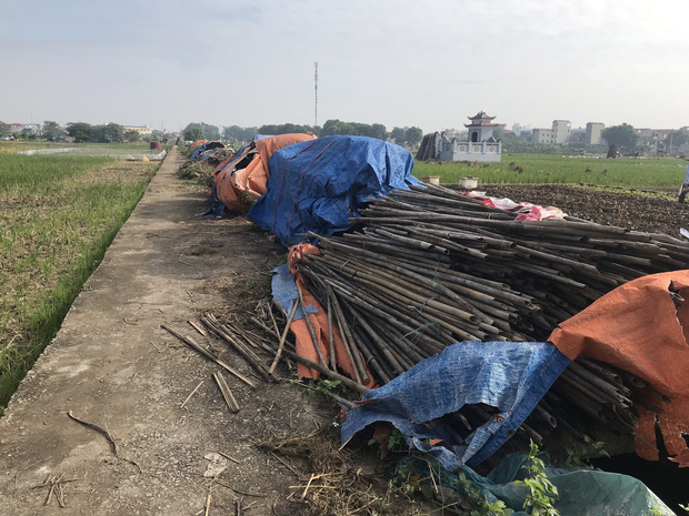 Hàng trăm người dân, công an và thân nhân đang lội sông tìm kiếm nữ sinh Học viện Ngân hàng: 'Đoạn đường nữ sinh mất dấu vết đã 3 hôm không có điện' - 4 Hàng trăm người dân, công an và thân nhân đang lội sông tìm kiếm nữ sinh Học viện Ngân hàng: 'Đoạn đường nữ sinh mất dấu vết đã 3 hôm không có điện' - 4