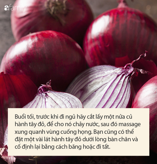 Người thon, da căng mịn chỉ sau một đêm nhờ vài lát hành tây, người mắc bệnh tuyến giáp càng phải gật gù vì hiệu quả - 1 Người thon, da căng mịn chỉ sau một đêm nhờ vài lát hành tây, người mắc bệnh tuyến giáp càng phải gật gù vì hiệu quả - 1