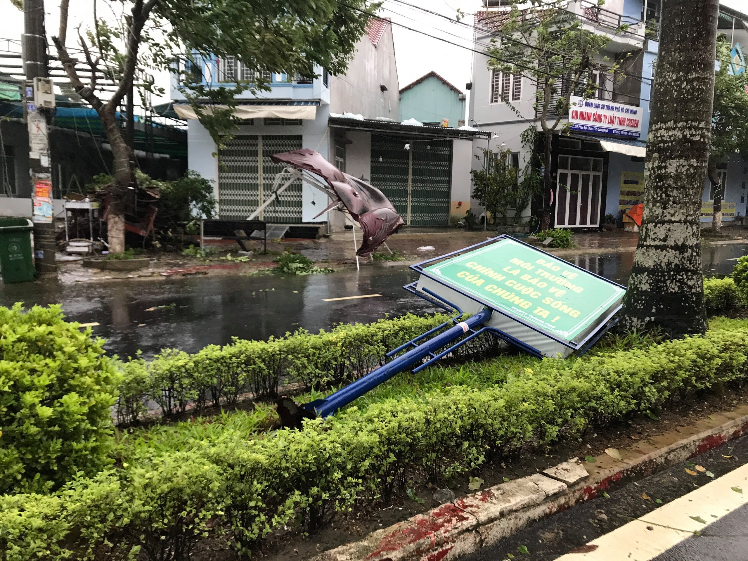 Bão số 9 giật cấp 13 quật ngã cây xanh la liệt, bỏ xe tìm nơi trú ẩn - 3 Bão số 9 giật cấp 13 quật ngã cây xanh la liệt, bỏ xe tìm nơi trú ẩn - 3