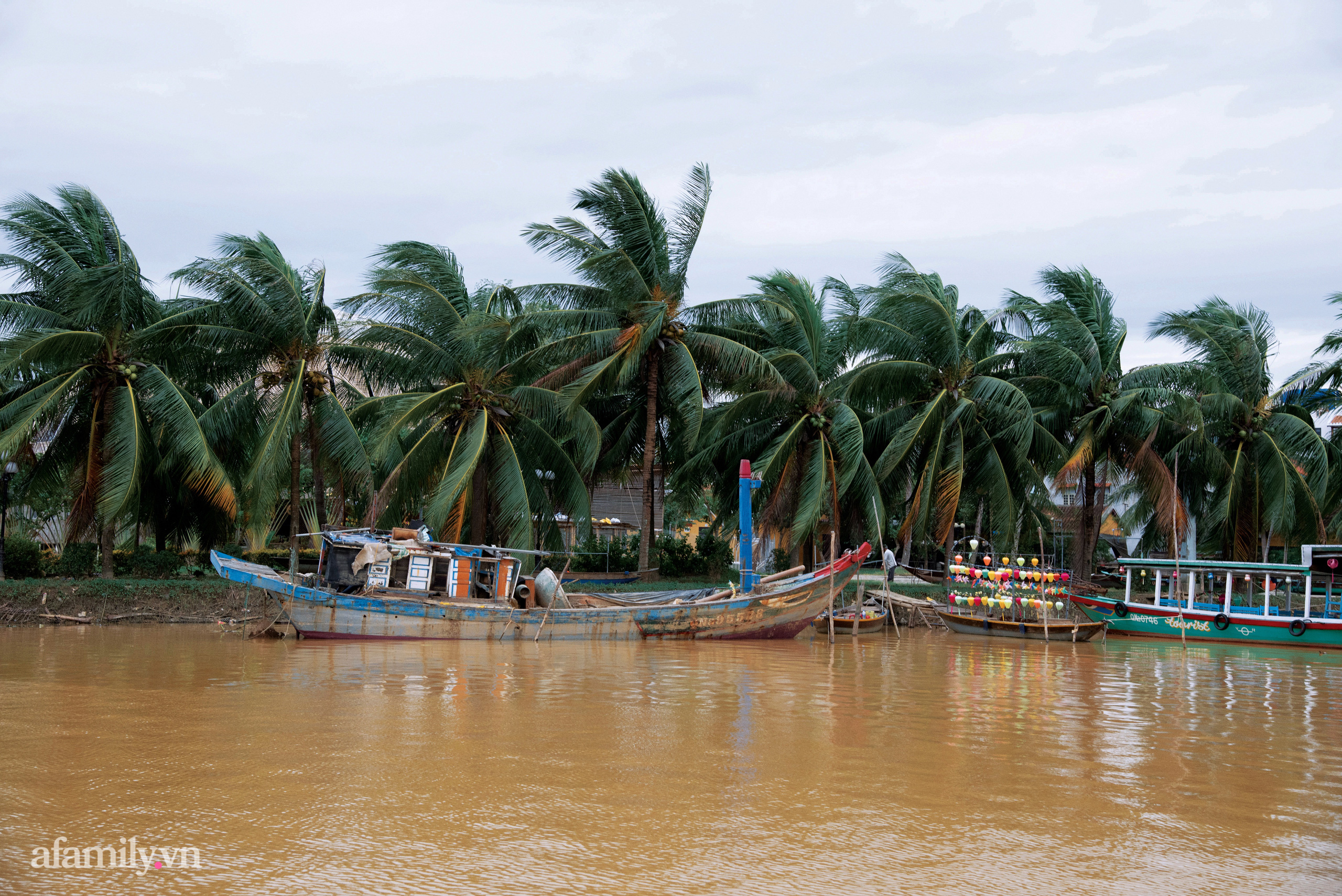 Phố cổ Hội An chuẩn bị chống bão số 9: Người dân bình tĩnh neo đậu tàu thuyền, tiếng thở mong cuộc sống bình yên vang lên đâu đó khi mọi thứ đã sẵn sàng! - 12 Phố cổ Hội An chuẩn bị chống bão số 9: Người dân bình tĩnh neo đậu tàu thuyền, tiếng thở mong cuộc sống bình yên vang lên đâu đó khi mọi thứ đã sẵn sàng! - 12