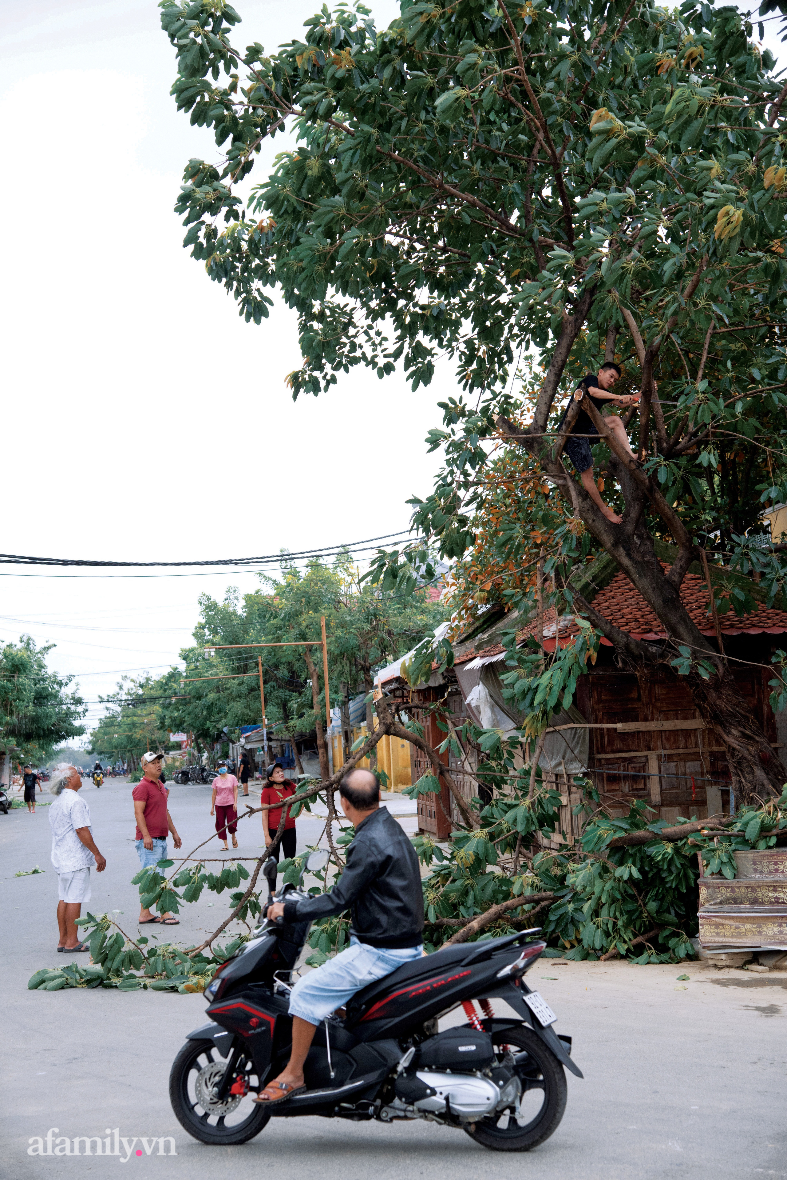 Phố cổ Hội An chuẩn bị chống bão số 9: Người dân bình tĩnh neo đậu tàu thuyền, tiếng thở mong cuộc sống bình yên vang lên đâu đó khi mọi thứ đã sẵn sàng! - 5 Phố cổ Hội An chuẩn bị chống bão số 9: Người dân bình tĩnh neo đậu tàu thuyền, tiếng thở mong cuộc sống bình yên vang lên đâu đó khi mọi thứ đã sẵn sàng! - 5