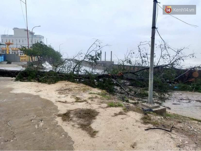 Những hình ảnh đầu tiên tại đảo Lý Sơn khi bão số 9 đi qua: Mọi thứ đều tan hoang, người dân thất thần bên đống đổ nát - 14 Những hình ảnh đầu tiên tại đảo Lý Sơn khi bão số 9 đi qua: Mọi thứ đều tan hoang, người dân thất thần bên đống đổ nát - 14