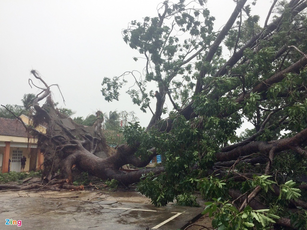 Ảnh: Bão số 9 tàn phá các tỉnh miền Trung - 8