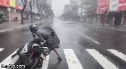 Clip: Gió bão quật muốn 'nhấc người', nam thanh niên gồng mình dắt xe vào lề đường ở Đà Nẵng Clip: Gió bão quật muốn 'nhấc người', nam thanh niên gồng mình dắt xe vào lề đường ở Đà Nẵng