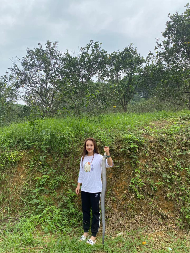 Gái xinh tay không bắt rắn hổ mang nặng gần 2kg cho bố ngâm rượu: 'Về nhà em mới biết nó độc chết người' - 1