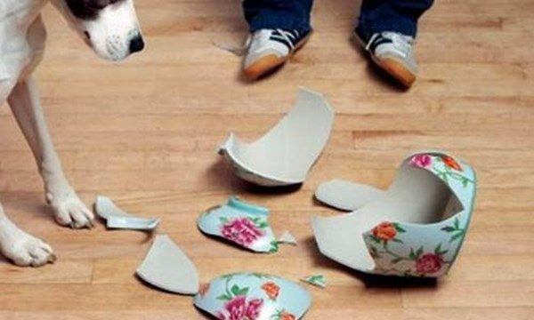 Mới sáng dậy đã phát hiện nhà có 4 dấu hiệu này, phải hết sức cẩn thận kẻo tai họa ngập đầu - 1 Mới sáng dậy đã phát hiện nhà có 4 dấu hiệu này, phải hết sức cẩn thận kẻo tai họa ngập đầu - 1