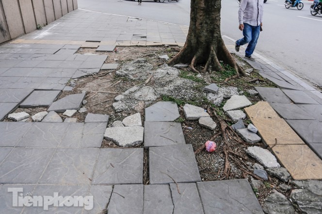 Sau 3 năm lát, đá vỉa hè 'độ bền 70 năm' nhiều nơi vỡ nát - 7 Sau 3 năm lát, đá vỉa hè 'độ bền 70 năm' nhiều nơi vỡ nát - 7