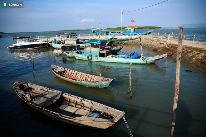 Nằm giữa biển Cần Giờ có một hòn đảo đẹp ngỡ ngàng, hoang sơ, rất ít người biết ở TP.HCM - 13 Nằm giữa biển Cần Giờ có một hòn đảo đẹp ngỡ ngàng, hoang sơ, rất ít người biết ở TP.HCM - 13
