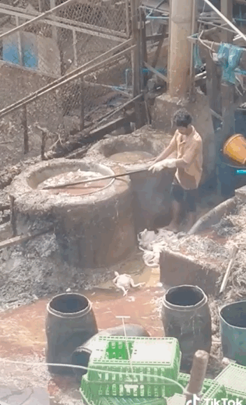 Cư dân mạng sốc nặng trước quy trình làm gà siêu bẩn: Nước đen nhẻm, làm lông xong quăng trôi tuột dưới đất? - 3 Cư dân mạng sốc nặng trước quy trình làm gà siêu bẩn: Nước đen nhẻm, làm lông xong quăng trôi tuột dưới đất? - 3