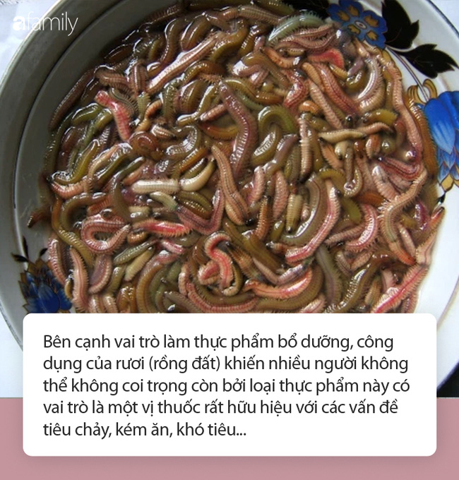 Không đơn giản là món ăn ngon, 'rồng đất' còn được tận dụng làm thuốc chữa bệnh - 1 Không đơn giản là món ăn ngon, 'rồng đất' còn được tận dụng làm thuốc chữa bệnh - 1