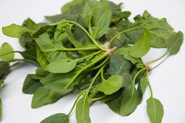 Bất kể đàn ông hay phụ nữ, sau tuổi 50 nên tránh 3 loại thực phẩm, ăn nhiều sẽ làm tổn thương não và dễ dẫn đến mất trí nhớ - 4 Bất kể đàn ông hay phụ nữ, sau tuổi 50 nên tránh 3 loại thực phẩm, ăn nhiều sẽ làm tổn thương não và dễ dẫn đến mất trí nhớ - 4