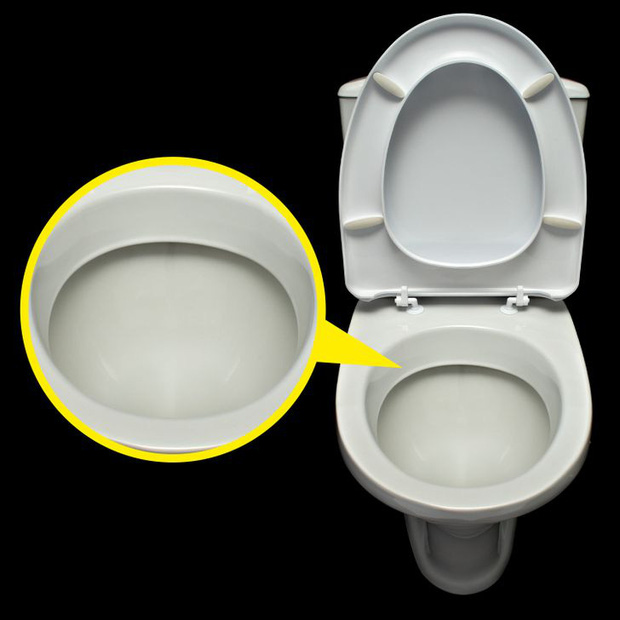 Tại sao bồn cầu toilet luôn có màu trắng dù nó rất dễ bẩn? Tại sao bồn cầu toilet luôn có màu trắng dù nó rất dễ bẩn?