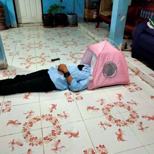 Mua lều cắm trại giá rẻ trên mạng, chàng trai giận tím người khi hàng về đến tay - 1 Mua lều cắm trại giá rẻ trên mạng, chàng trai giận tím người khi hàng về đến tay - 1