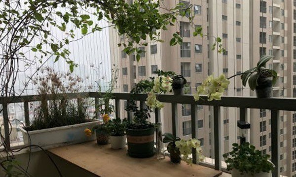 7 nguyên tắc phong thủy cần biết khi mua nhà chung cư, nhà giàu tuân thủ cực nghiêm - 1 7 nguyên tắc phong thủy cần biết khi mua nhà chung cư, nhà giàu tuân thủ cực nghiêm - 1