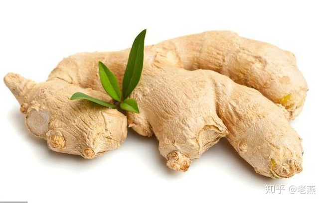 Trời rét đậm, ăn 7 loại thực phẩm để giữ ấm cơ thể, tăng cường dương khí và thúc đẩy tuần hoàn máu - 1 Trời rét đậm, ăn 7 loại thực phẩm để giữ ấm cơ thể, tăng cường dương khí và thúc đẩy tuần hoàn máu - 1