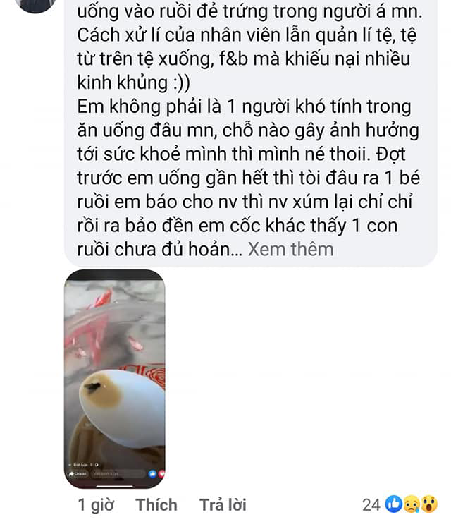 Đăng bài bóc phốt quán trà sữa nổi tiếng ở Đà Nẵng có giòi, cô gái không những không được xin lỗi còn bị một nhóm người công kích gây tranh cãi trên mạng xã hội - 6 Đăng bài bóc phốt quán trà sữa nổi tiếng ở Đà Nẵng có giòi, cô gái không những không được xin lỗi còn bị một nhóm người công kích gây tranh cãi trên mạng xã hội - 6
