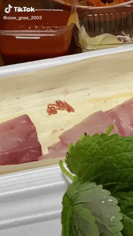 Đang ăn bỗng nhìn thấy 2 con giun nhảy múa bên đĩa sushi khiến vị khách rùng mình Đang ăn bỗng nhìn thấy 2 con giun nhảy múa bên đĩa sushi khiến vị khách rùng mình
