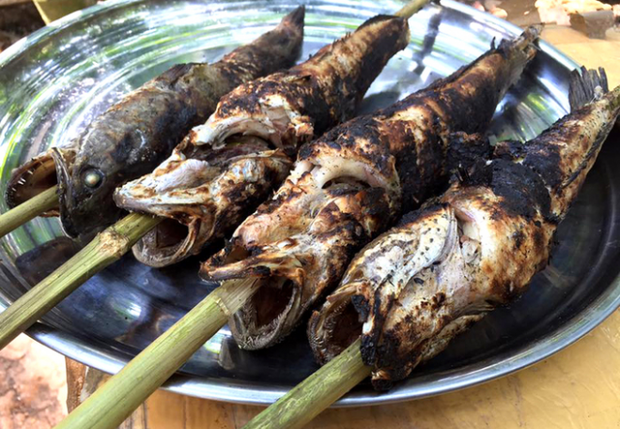 3 loại cá ăn 'càng ít càng tốt' nhưng người trẻ không biết vẫn vô tư xơi mỗi ngày 3 loại cá ăn 'càng ít càng tốt' nhưng người trẻ không biết vẫn vô tư xơi mỗi ngày