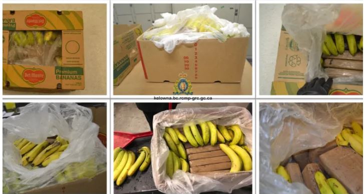 Hi hữu: 21 bánh cocain giấu trong thùng chuối bị chuyển nhầm đến hiệu tạp hóa Hi hữu: 21 bánh cocain giấu trong thùng chuối bị chuyển nhầm đến hiệu tạp hóa