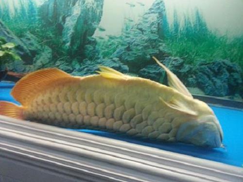 8 cấm kị phong thủy ít người biết, nếu làm mãi vẫn không giữ được tiền trong tay phải xem xét ngay - 3 8 cấm kị phong thủy ít người biết, nếu làm mãi vẫn không giữ được tiền trong tay phải xem xét ngay - 3