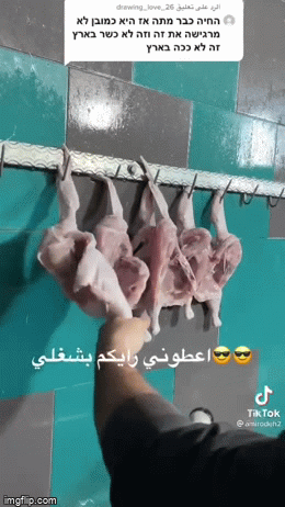 Chặt gà bằng dao rọc giấy, người đàn ông khiến ai cũng phải sửng sốt vì đơn giản đến không ngờ - 1 Chặt gà bằng dao rọc giấy, người đàn ông khiến ai cũng phải sửng sốt vì đơn giản đến không ngờ - 1