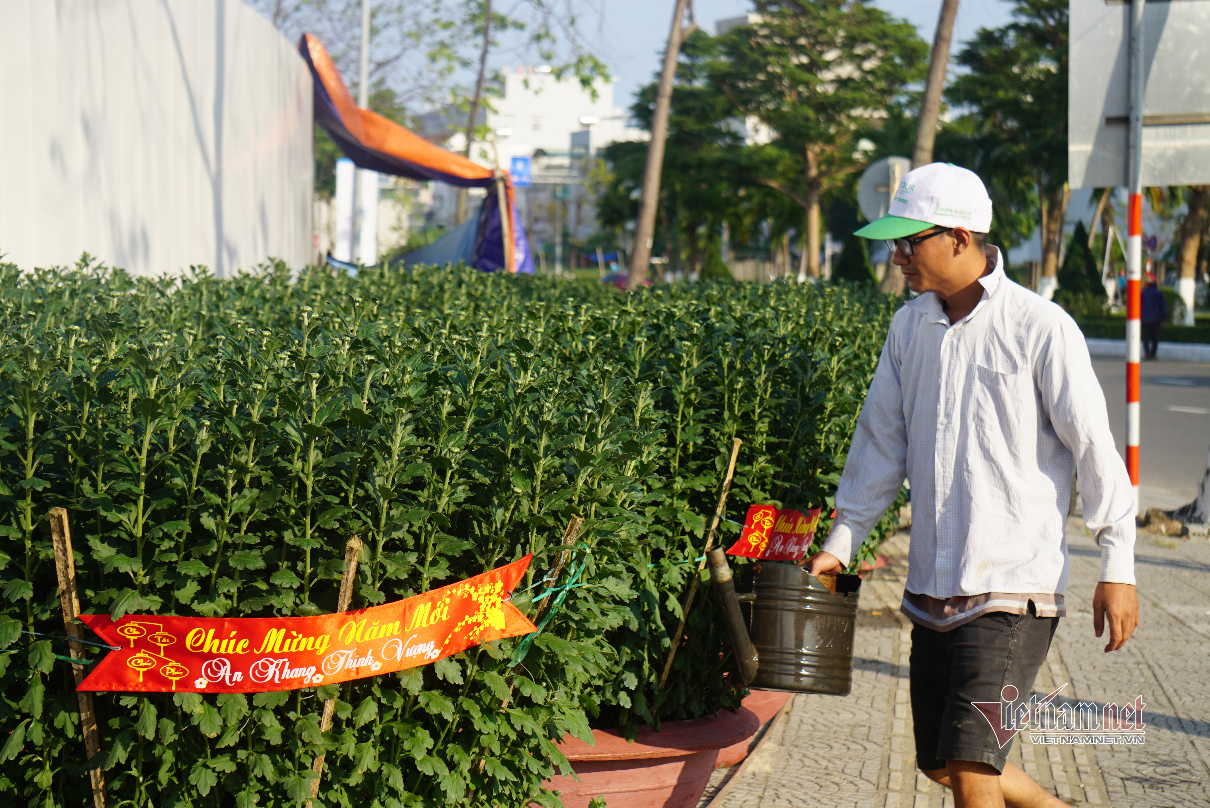Đường phố Đà Nẵng rực rỡ sắc hoa những ngày giáp Tết - 16 Đường phố Đà Nẵng rực rỡ sắc hoa những ngày giáp Tết - 16