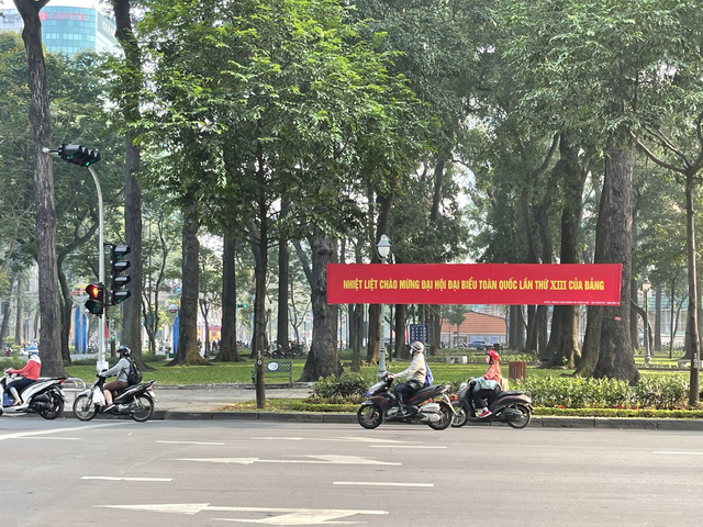 TP.HCM lung linh cờ hoa chào mừng Đại hội lần thứ XIII của Đảng - 6 TP.HCM lung linh cờ hoa chào mừng Đại hội lần thứ XIII của Đảng - 6