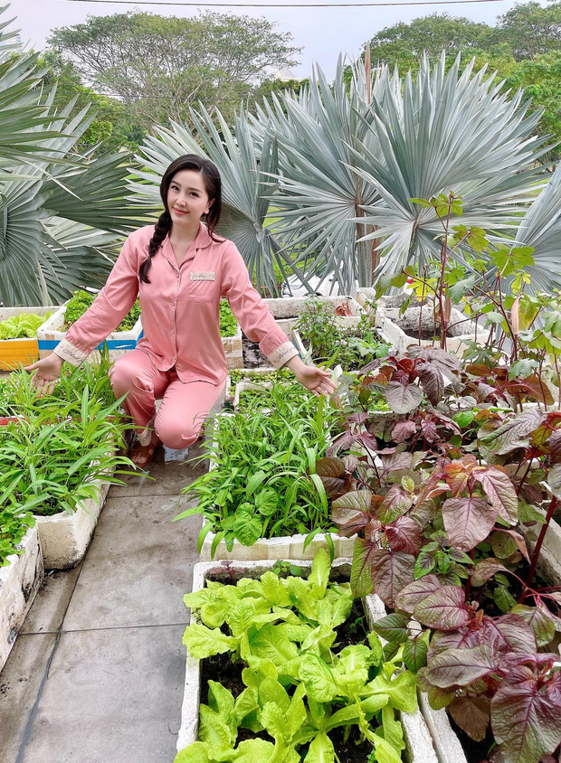 Cách Bảo Thy 'chill' bên trong biệt thự hào môn: Chán du lịch 'chanh sả' thì về trồng rau, diện dép lê gần 16 triệu thăm vườn Cách Bảo Thy 'chill' bên trong biệt thự hào môn: Chán du lịch 'chanh sả' thì về trồng rau, diện dép lê gần 16 triệu thăm vườn