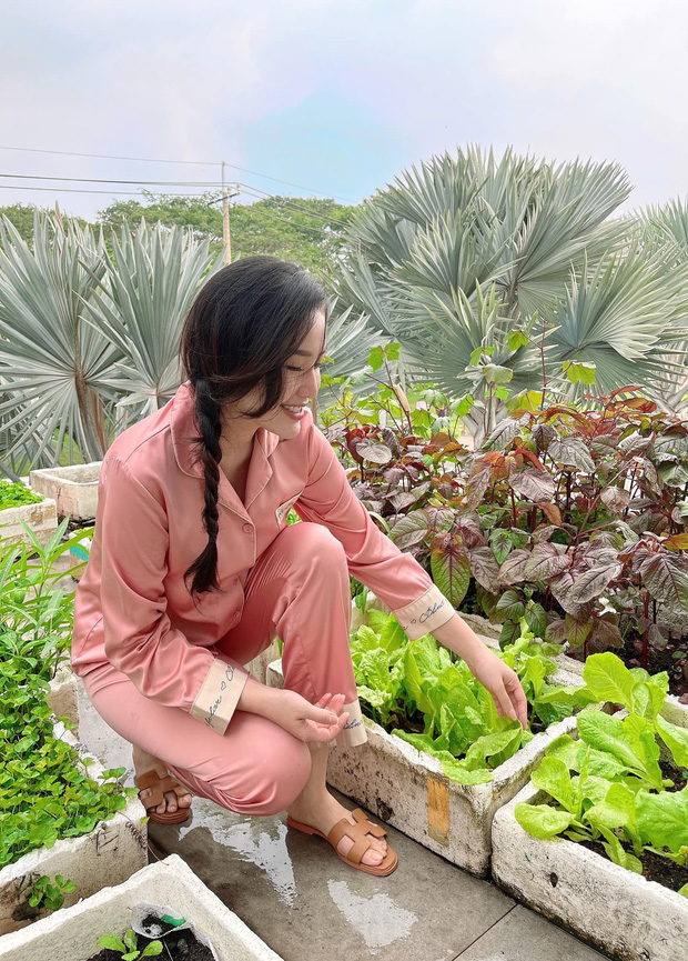 Cách Bảo Thy 'chill' bên trong biệt thự hào môn: Chán du lịch 'chanh sả' thì về trồng rau, diện dép lê gần 16 triệu thăm vườn - 2 Cách Bảo Thy 'chill' bên trong biệt thự hào môn: Chán du lịch 'chanh sả' thì về trồng rau, diện dép lê gần 16 triệu thăm vườn - 2
