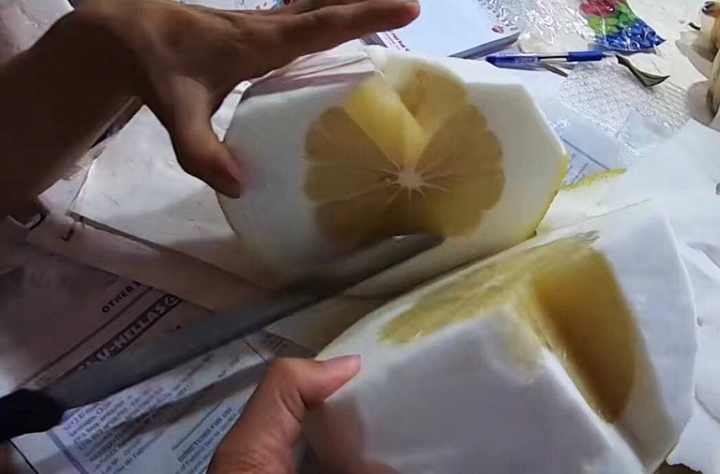 Dân mạng xôn xao loại bưởi lạ to như quả bí khổng lồ, ăn được từ vỏ đến ruột với giá lên tới 100k/kg!? - 6 Dân mạng xôn xao loại bưởi lạ to như quả bí khổng lồ, ăn được từ vỏ đến ruột với giá lên tới 100k/kg!? - 6