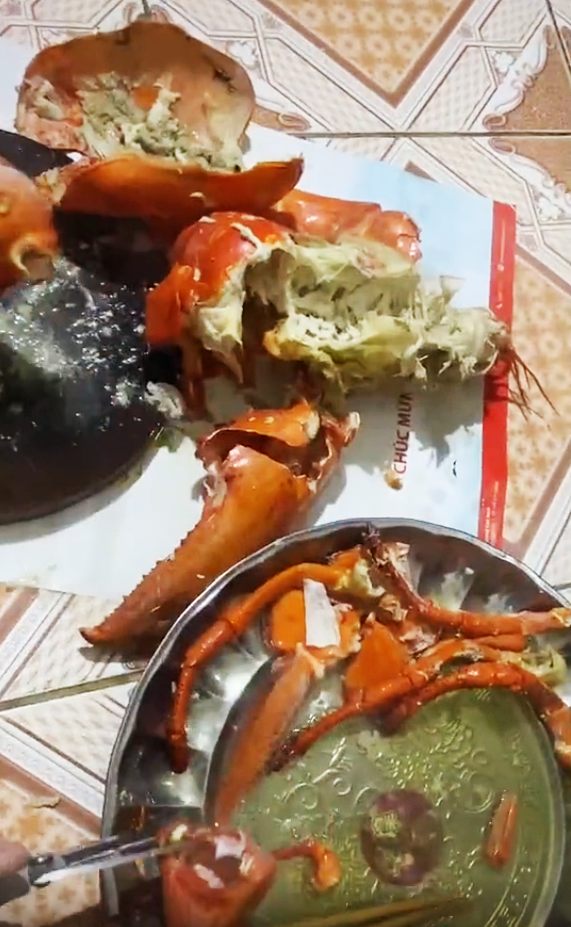 Hí hửng mua tôm hùm Alaska 3kg, đập ra thì ngỡ ngàng vì bị lừa - 2 Hí hửng mua tôm hùm Alaska 3kg, đập ra thì ngỡ ngàng vì bị lừa - 2
