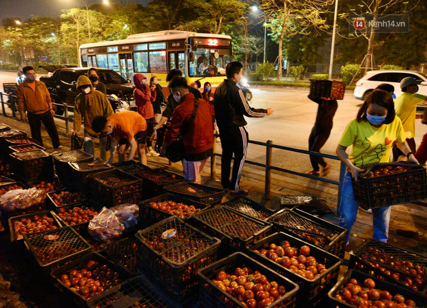 Hà Nội: Hàng chục tấn rau củ quả từ Hải Dương về điểm giải cứu, người dân chờ đợi và mua ngay trong đêm - 9 Hà Nội: Hàng chục tấn rau củ quả từ Hải Dương về điểm giải cứu, người dân chờ đợi và mua ngay trong đêm - 9