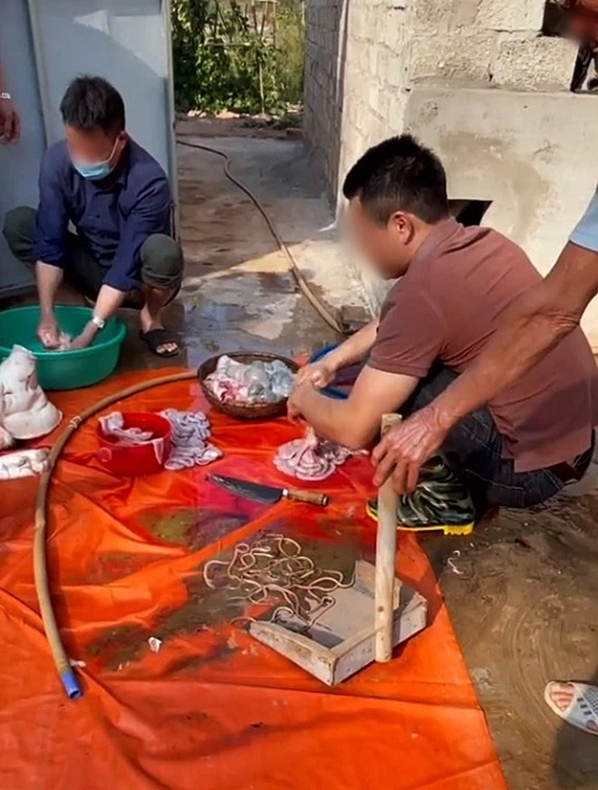 Những lần dân mạng 'sốc nặng' vì phát hiện sinh vật lạ trong đồ ăn thức uống, mới nhìn thôi đã thấy rợn da gà Những lần dân mạng 'sốc nặng' vì phát hiện sinh vật lạ trong đồ ăn thức uống, mới nhìn thôi đã thấy rợn da gà