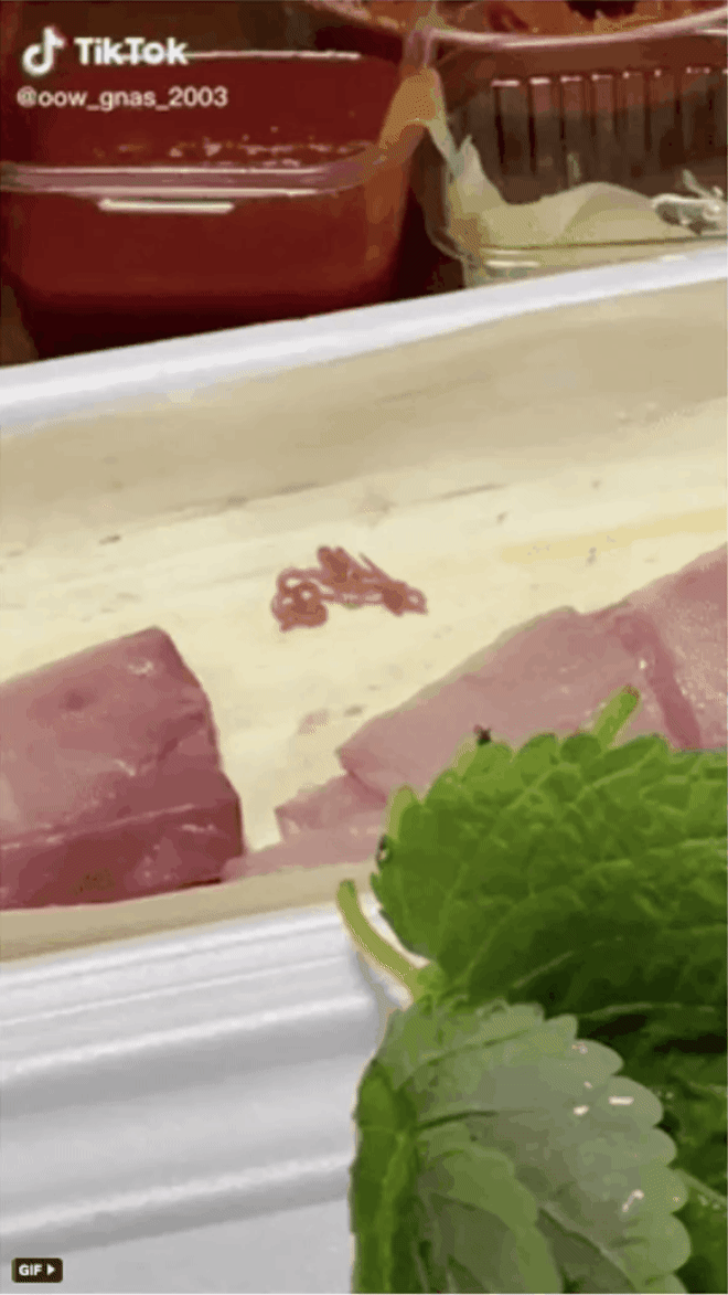 Những lần dân mạng 'sốc nặng' vì phát hiện sinh vật lạ trong đồ ăn thức uống, mới nhìn thôi đã thấy rợn da gà - 7 Những lần dân mạng 'sốc nặng' vì phát hiện sinh vật lạ trong đồ ăn thức uống, mới nhìn thôi đã thấy rợn da gà - 7