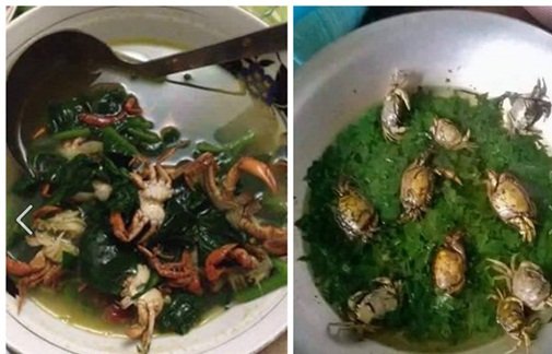 Cười ná thở với bộ sưu tập những món ăn của hội chị em nội trợ ghét bếp chính hiệu - 8 Cười ná thở với bộ sưu tập những món ăn của hội chị em nội trợ ghét bếp chính hiệu - 8