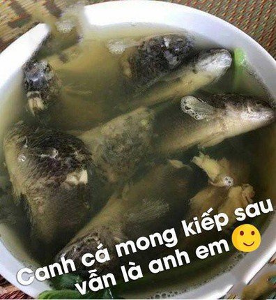 Cười ná thở với bộ sưu tập những món ăn của hội chị em nội trợ ghét bếp chính hiệu - 10 Cười ná thở với bộ sưu tập những món ăn của hội chị em nội trợ ghét bếp chính hiệu - 10
