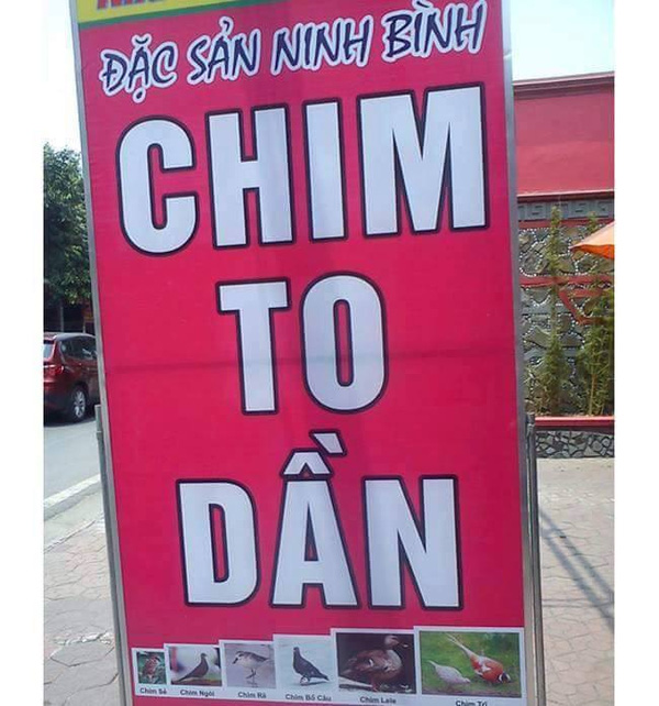 Những biển hiệu 'khó đỡ' của các ông, bà chủ có khiếu hài hước: Cháo ếch 'Dở như hạch', 'Giày xấu giá cao', khách đi qua cũng bị rớt nhịp vài giây - 2 Những biển hiệu 'khó đỡ' của các ông, bà chủ có khiếu hài hước: Cháo ếch 'Dở như hạch', 'Giày xấu giá cao', khách đi qua cũng bị rớt nhịp vài giây - 2