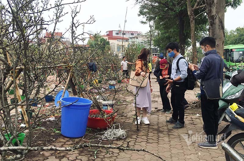 Hà Thành mua hoa lê chơi Rằm, dân buôn bán hết veo 1.000 cành - 5 Hà Thành mua hoa lê chơi Rằm, dân buôn bán hết veo 1.000 cành - 5