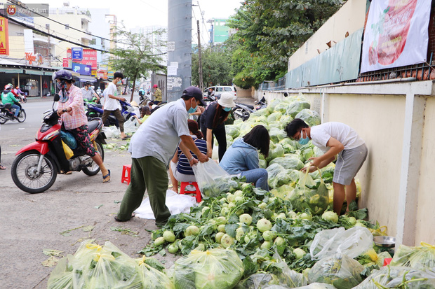 Rằm tháng Giêng, người Sài Gòn hồ hởi kéo nhau đi "giải cứu" bắp cải, su hào cho bà con Hải Dương - 8 Rằm tháng Giêng, người Sài Gòn hồ hởi kéo nhau đi "giải cứu" bắp cải, su hào cho bà con Hải Dương - 8