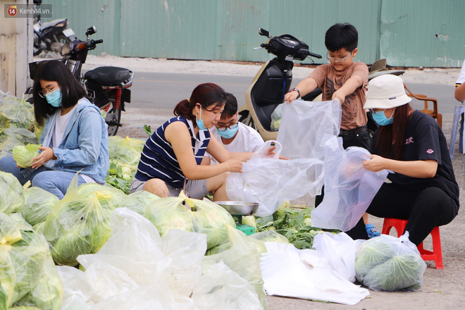 Rằm tháng Giêng, người Sài Gòn hồ hởi kéo nhau đi "giải cứu" bắp cải, su hào cho bà con Hải Dương - 18 Rằm tháng Giêng, người Sài Gòn hồ hởi kéo nhau đi "giải cứu" bắp cải, su hào cho bà con Hải Dương - 18