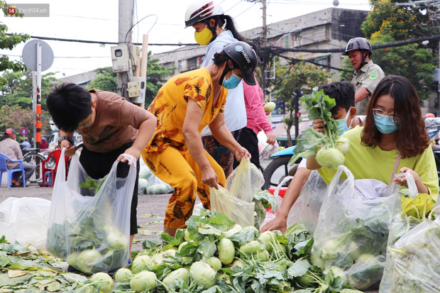 Rằm tháng Giêng, người Sài Gòn hồ hởi kéo nhau đi "giải cứu" bắp cải, su hào cho bà con Hải Dương - 6 Rằm tháng Giêng, người Sài Gòn hồ hởi kéo nhau đi "giải cứu" bắp cải, su hào cho bà con Hải Dương - 6